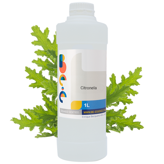 Citronela