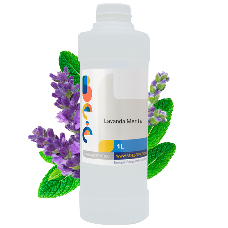 Lavanda – Menta