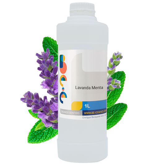 Lavanda – Menta