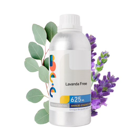 Lavanda Free