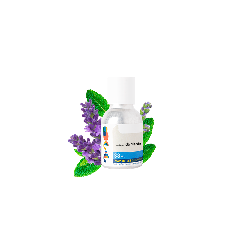 Lavanda – Menta