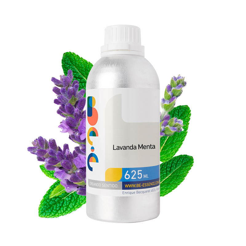 Lavanda – Menta