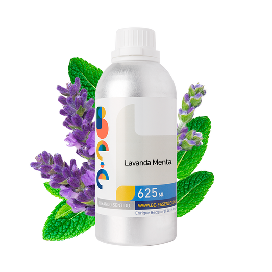 Lavanda – Menta